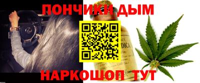 индика Ливны