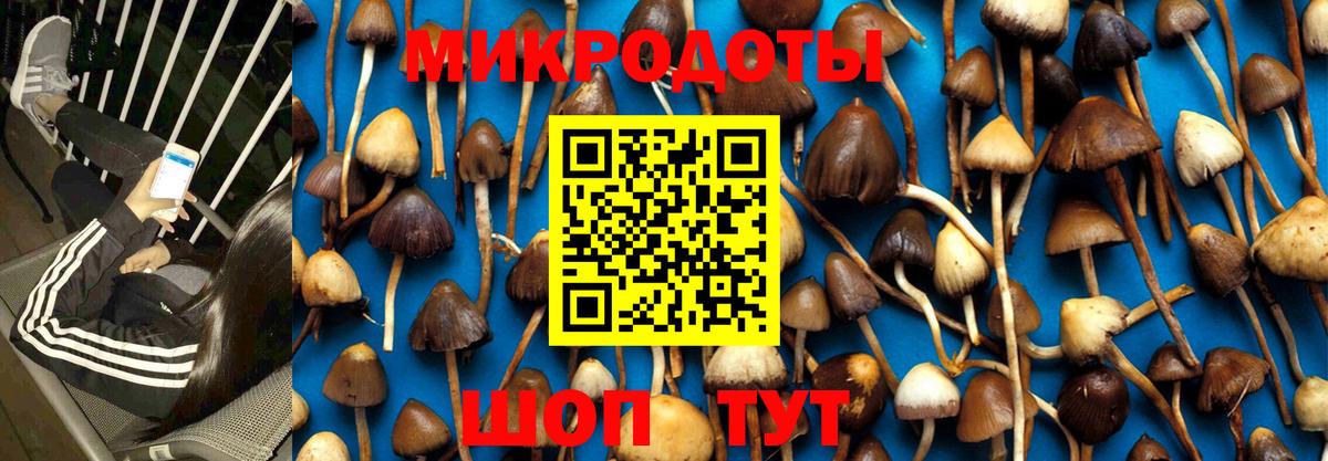 Ишимбай  Псилоцибиновые грибы мухоморы  Вход с VPN 
